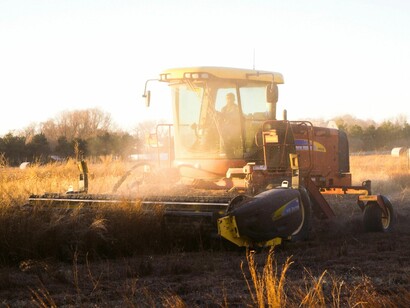 Lavori agricoli nei campi