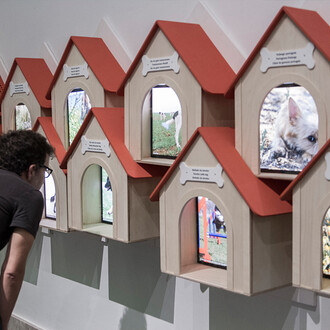 Cats and Dogs. Courtesy of Pavilhão do Conhecimento | Centro Ciência Viva