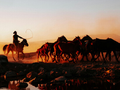 A trajetória do vaqueiro nordestino é marcada pela coragem, fé e intimidade com a região em que vive