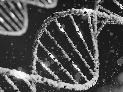 Each twist of the DNA helix carries the potential for change — adaptation or error