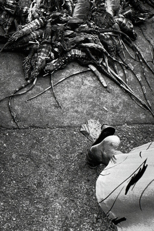 Hay Tiempo. Courtesy of Rosegallery