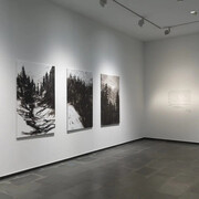 M. Ángeles Díaz Barbado, Tristán, vista de exhibición. Cortesía de la Galería Isabel Hurley
