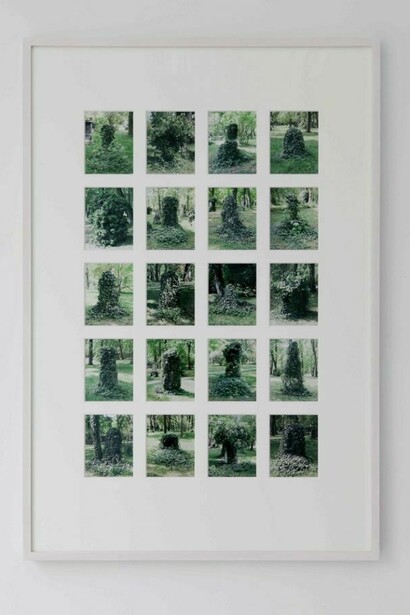Lisa Tan, Alter Nordfriedhof, 2011, c-print in artist's frame, framed: 36.8 x 25 in. / 93.5 x 63.5 cm, Image courtesy the artist and VidalCuglietta, Brussels