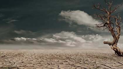 A striking photograph captures the barren, arid brown soil during daylight, with a leafless tree standing stark against the landscape