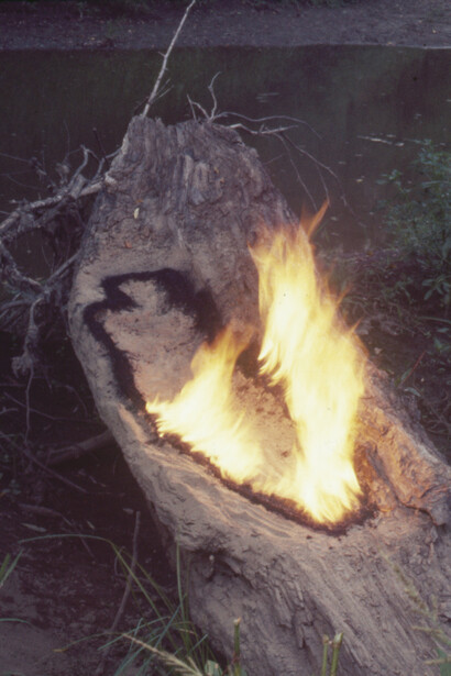 Ana Mendieta, Untitled: silueta series, 1977. Courtesy of Tate Modern