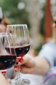 Calici di vino in un pranzo in famiglia o tra amici. Per quanto riguarda la varietà dei vini, quelli pugliesi non hanno, invece, niente da invidiare a nessuno. A trainare sono soprattutto i grandi vini rossi Negroamaro, Primitivo e Nero di Troia, per i quali si può dividere la Puglie in tre zone vinicole, all’interno delle quali c’ è, comunque, una tale varietà di altre produzioni, che diventa difficile anche una semplice elencazione