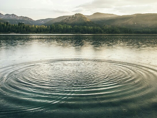 Il vero ordine non nasce dalle regole imposte, ma dalla comprensione profonda delle cause del disordine