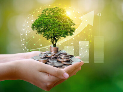 Ecological value equals economic growth