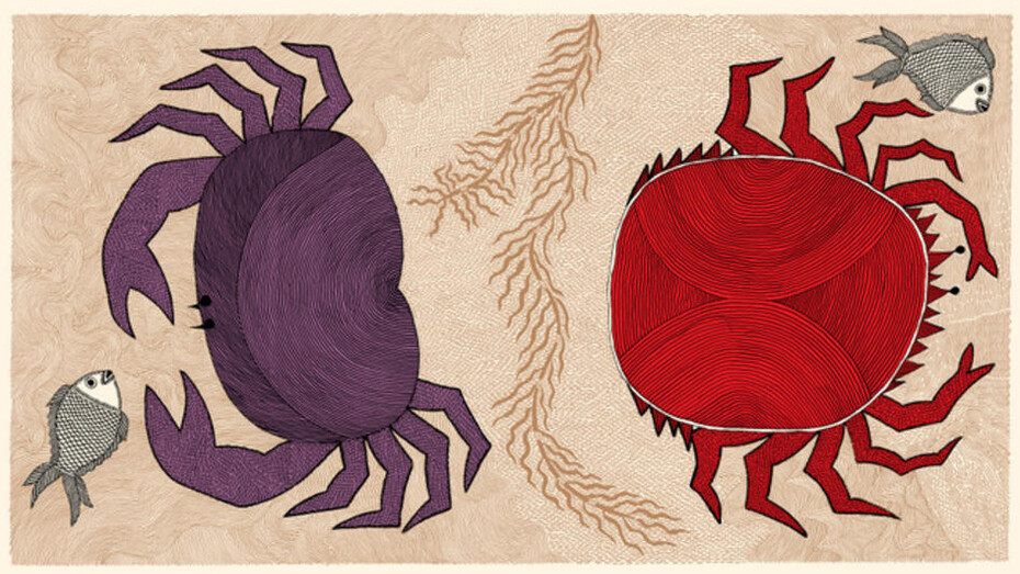 Dal libro "Vite d'acqua", Salani, illustrazioni di Rambharos Jha arte Mithila (Bihar, India nordoccidentale) 