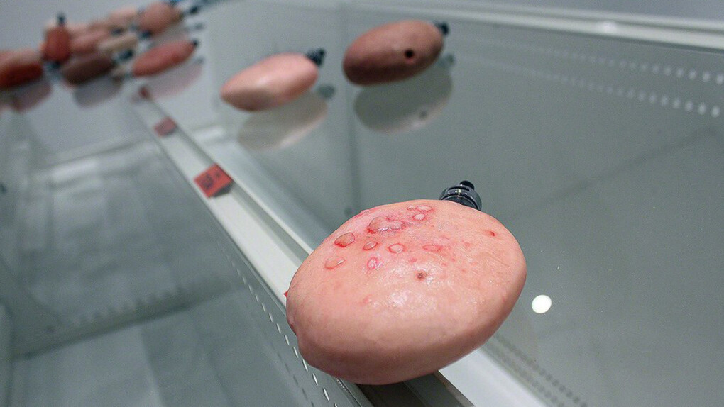 Uuuurrrraaaauuuunnnnyyyy. Courtesy of SNOW Contemporary 