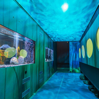 Fishing. Courtesy of National Museum of Agriculture