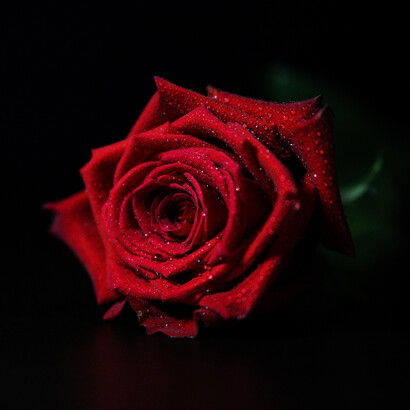 In lieu of a present, make a donation in your loved one’s honor 