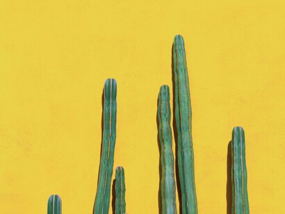 Cacti green color