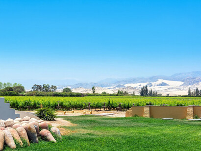 Vista de los viñedos en Ica, Perú