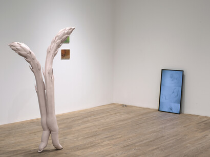 Vicious Frames. Courtesy of Postmasters Gallery