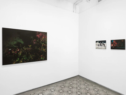 Soumya Sankar Bose, We need to talk in whispers, exhibition view. Courtesy of Experimenter