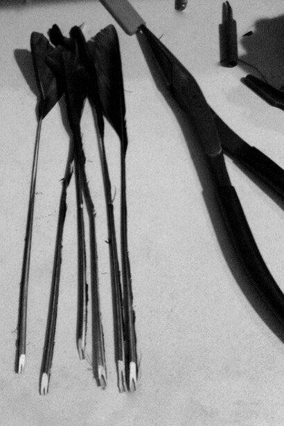 Crow feathers collected from the parks of Berlin during the re-quilling of a harpsichord.