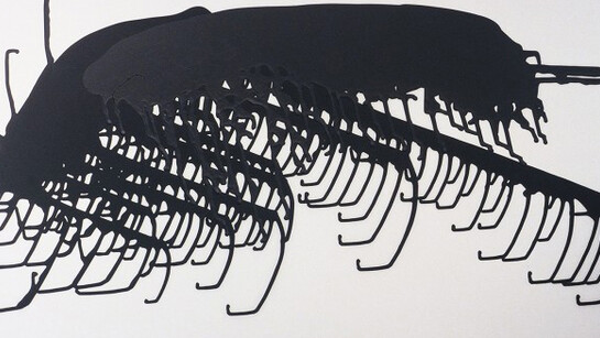 Felice Grodin. Courtesy of Pérez Art Museum