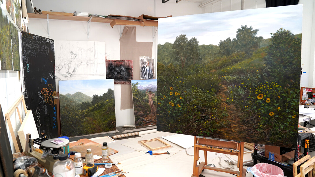 Andrew Durgin-Barnes, Lizardscapes, exhibition view. Courtesy of Good Mother Gallery
