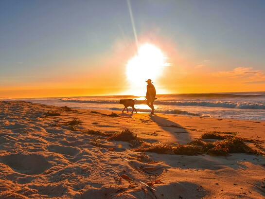 A man walks his dog along the beach as the sun sets over the horizon