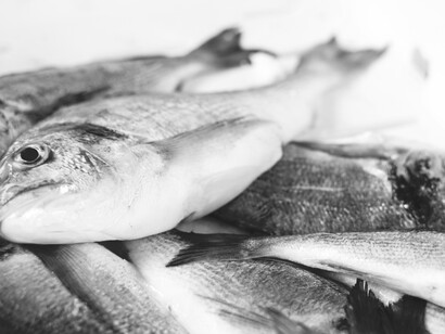 Il pesce, simbolo di Cristo