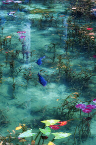 Stagno giapponese ispirato a un quadro di Monet. Ph Hidenobu Suzuki