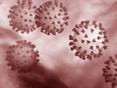 Is SARS-CoV-2 the new (and expected) pandemic virus?