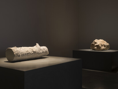 Perejaume, Madera adorada en piedra / piedra adorada en madera (2021). Courtesy Nogueras Blanchard, Barcelona/Madrid. Photography Roberto Ruiz