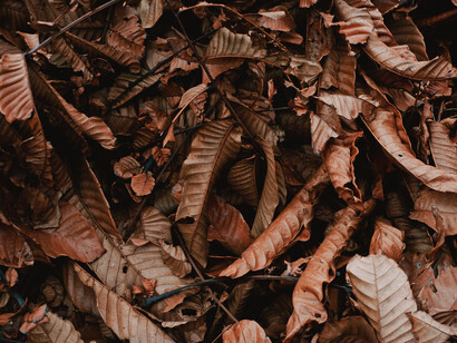 Autunno