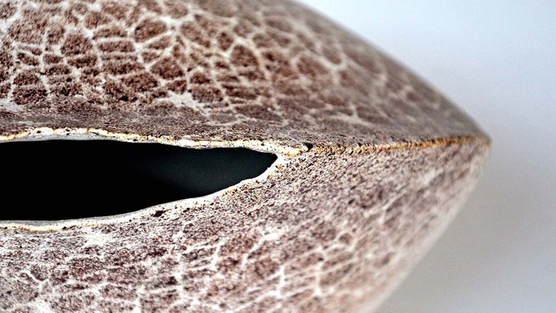 La terra in opere d’arte. Courtesy of Antico Convento dei Cappuccini