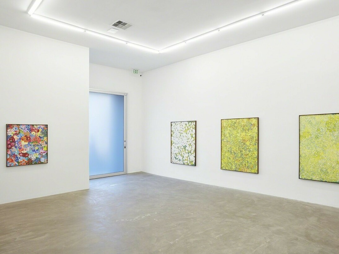 Montana Wildflowers. Courtesy of Praz-Delavallade