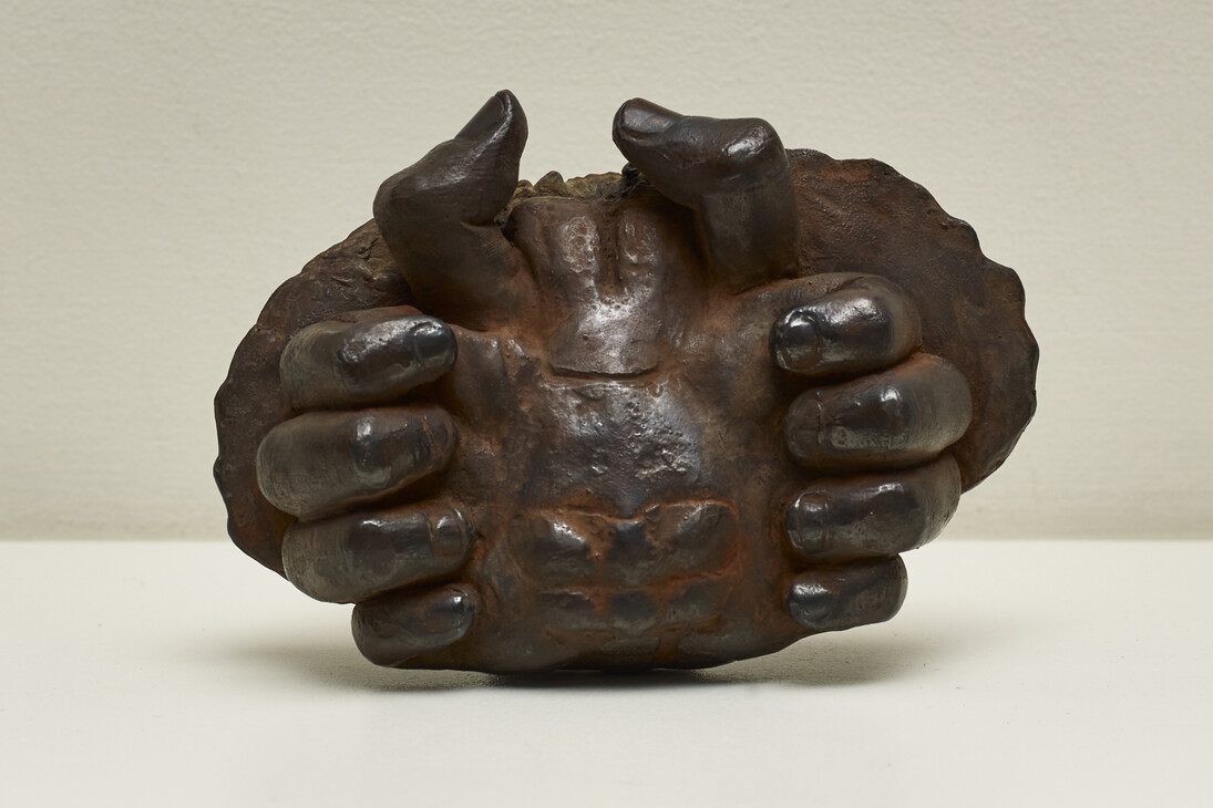 Crab (Cancer Pagorus) [Underside detail], 2015
Patinated bronze 5 x 15 x 10 cm. Edition of 4. Courtesy the artist and Frith Street Gallery, London. Photography by Steve White.