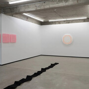 Kāryn Taylor, Cosmic mind, quantum field, exhibition view. Courtesy of Jhana Millers Gallery