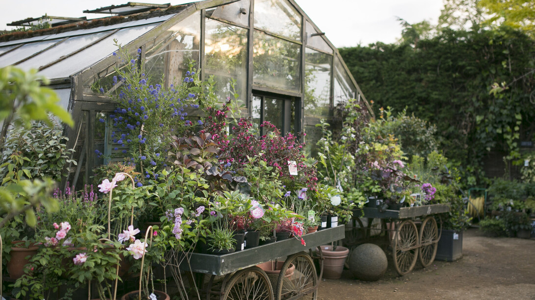 Petersham Nurseries Cafe. Credit Marimo Images