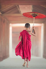 A young monk boy walking with an umbrealla