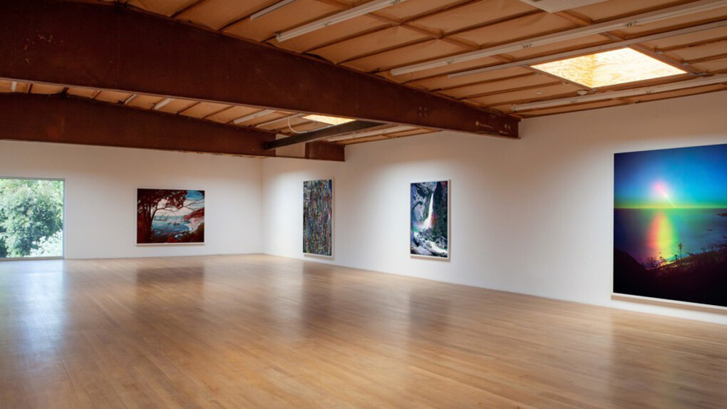 The Limits of Control. Courtesy of Blum & Poe Gallery
