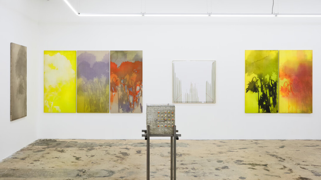 Seth Cameron, Good dog, exhibition view. Courtesy of Nina Johnson