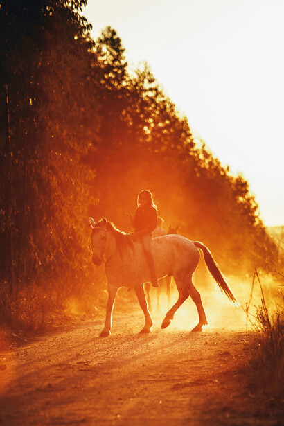 Elle enfourche sa pouliche blanche, fracassant ses vieilles calèches pour ouvrir un chemin de traverse
