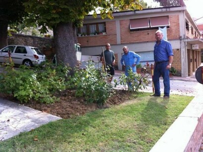 Verde pubblico e residenziale