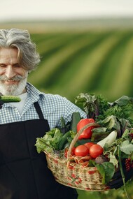 A smiling elderly man stands in a sunlit farm, holding a basket filled with fresh vegetables