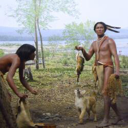 Native Peoples of New York. Courtesy of New York State Museum