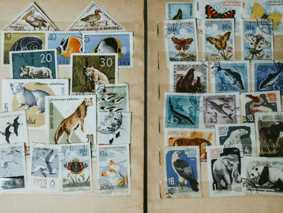 Los coleccionistas no solo adquieren objetos; investigan su historia y les otorgan un contexto que trasciende su valor material