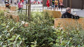 Un hombre lee un libro en una de las zonas ajardinadas del Passeig de Sant Joan de Barcelona. Foto: Adrià Goula