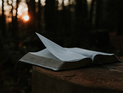 La mística también es una «apertura» mental, emocional, investigativa