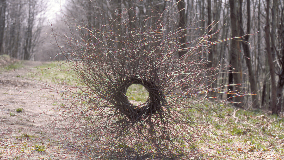 Andy Goldsworthy. Silver Birch. Forms for Hooke Park Hooke Park, Dorset, April, 1986. From New Milestones, Sculpture, Community and the Land. Courtesy of YSP © Jonty Wilde