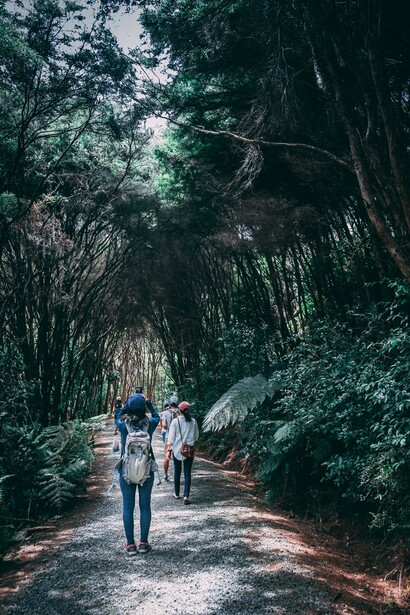 A group of friends walking through the woods 