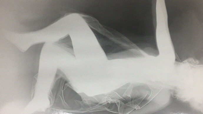 Geologia Doméstica. Courtesy of Casa Triângulo