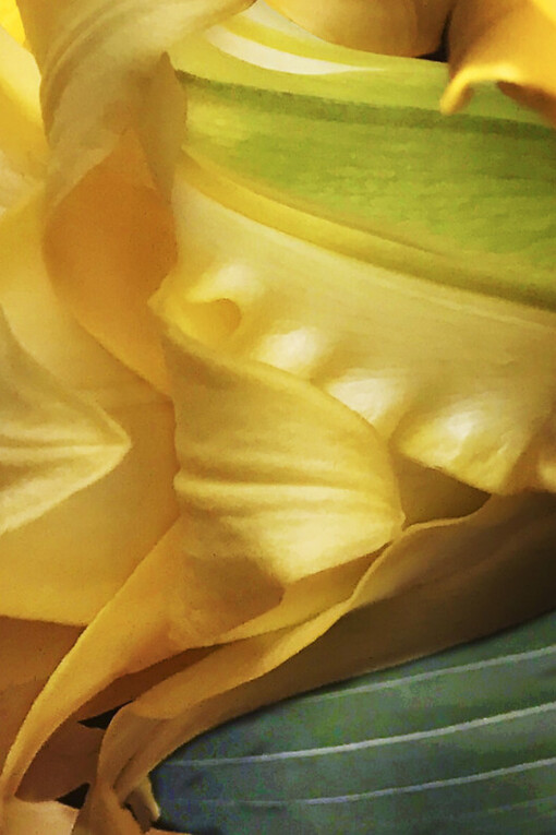 Joel Grey. Courtesy of Staley-Wise Gallery