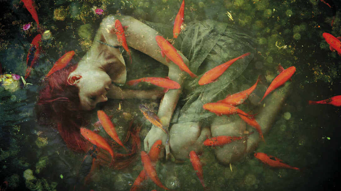 Quirino Zangrilli, Ofelia 