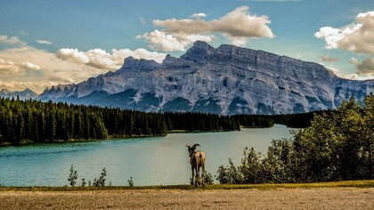 La vita... sembra preziosa